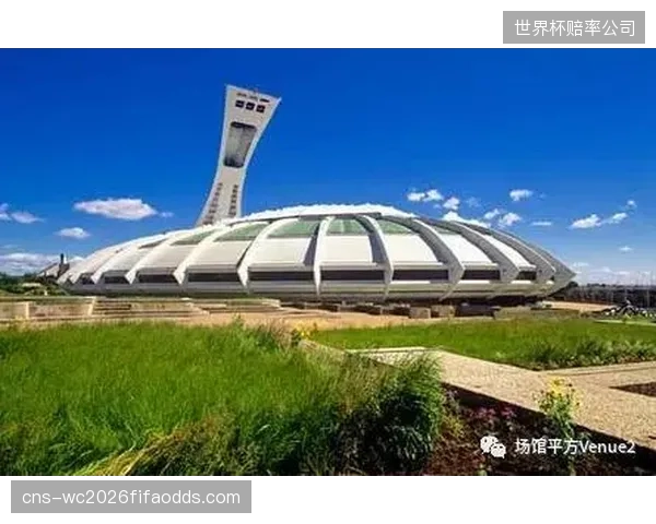 盲目追求“一步上云”，导致许多中小型体育俱乐部的实际运营压力不降反增